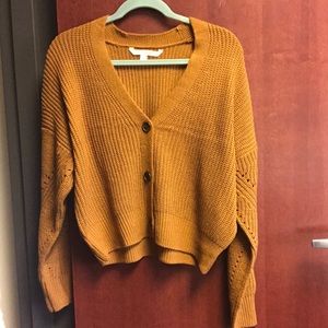 Cute Sweater